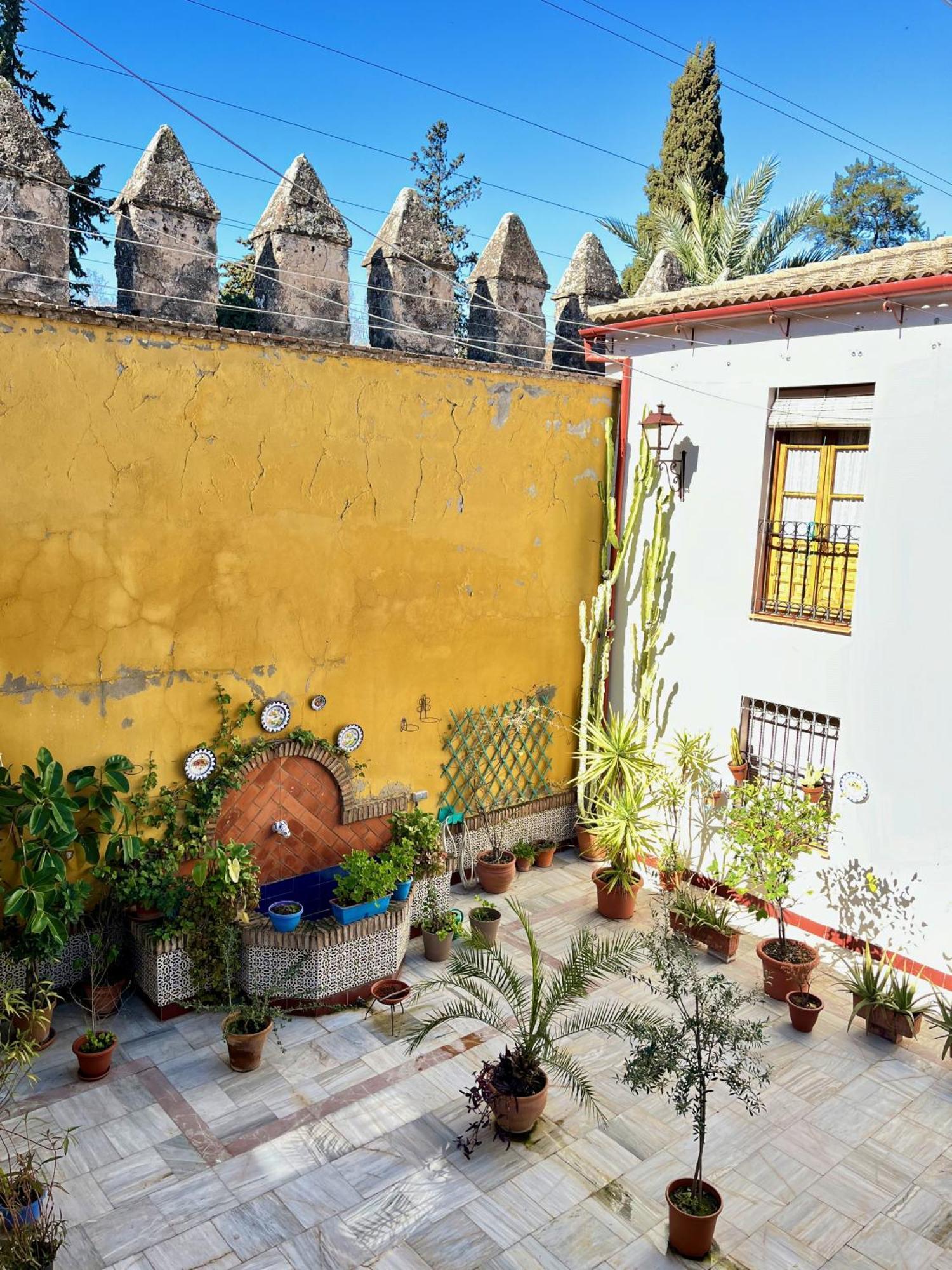 El Patio De Wallada Córdoba Exteriör bild
