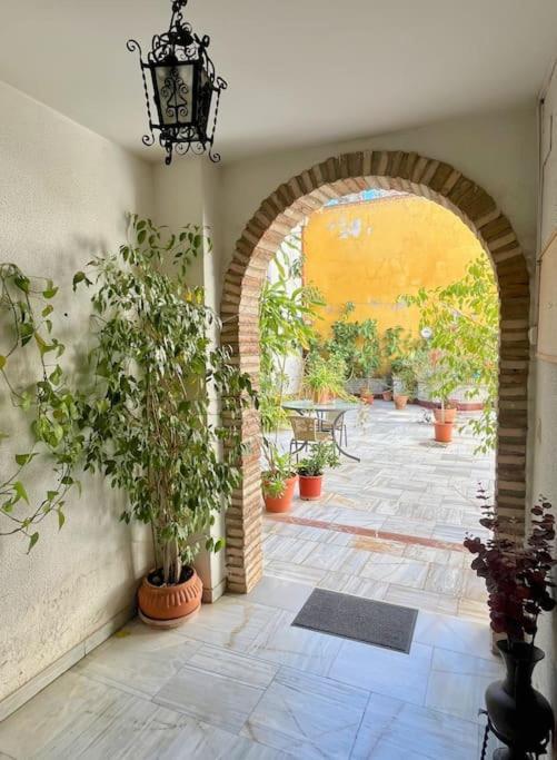 El Patio De Wallada Córdoba Exteriör bild