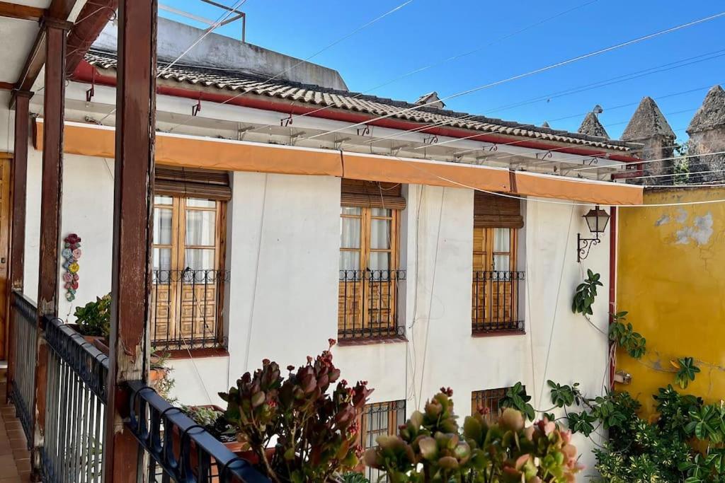 El Patio De Wallada Córdoba Exteriör bild