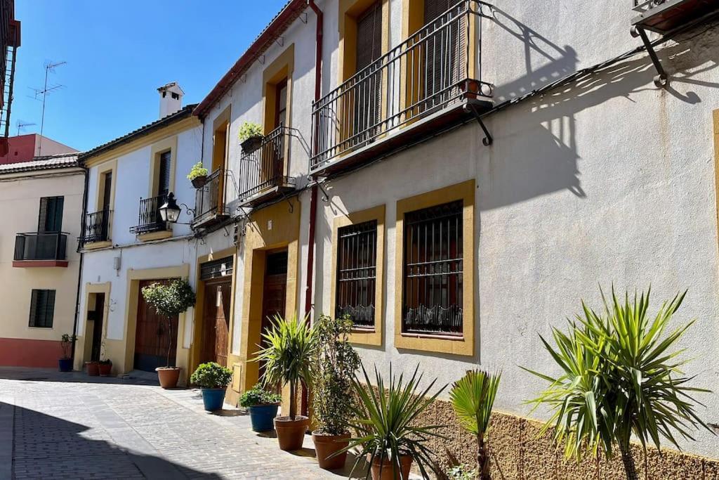 El Patio De Wallada Córdoba Exteriör bild